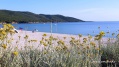 Cupabia et immortelles de Corse